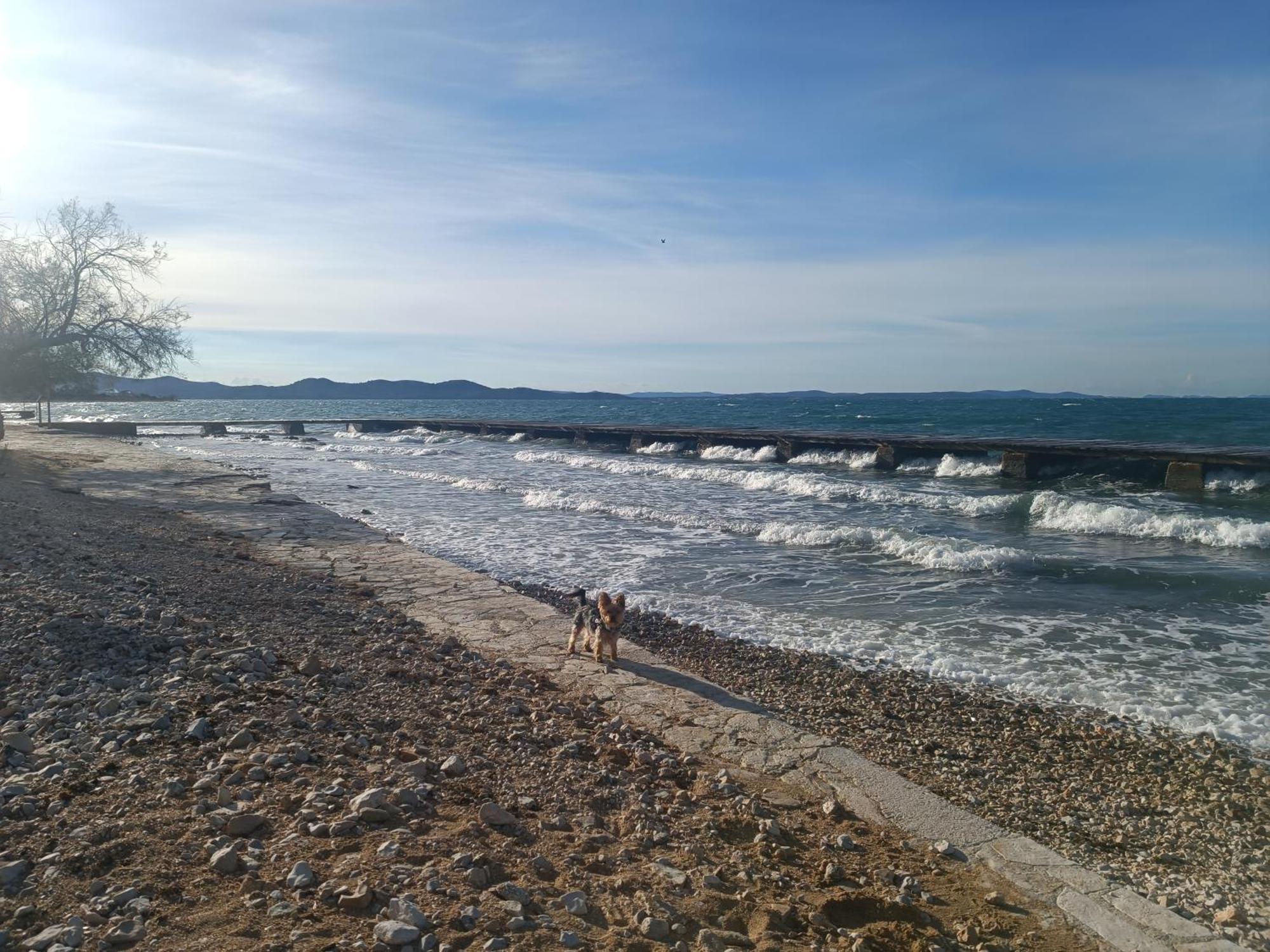 Zadar Beach Apartments 外观 照片