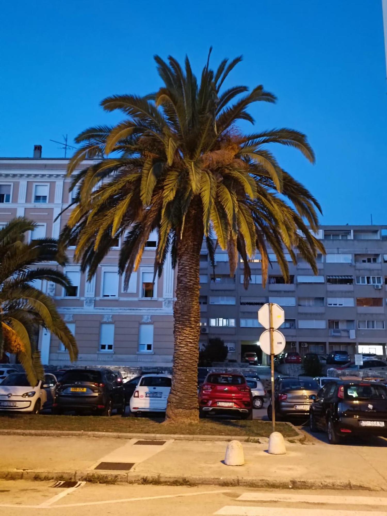 Zadar Beach Apartments 外观 照片
